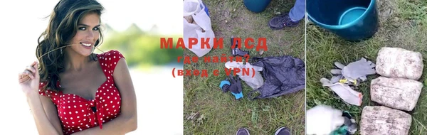 ПСИЛОЦИБИНОВЫЕ ГРИБЫ Михайловск