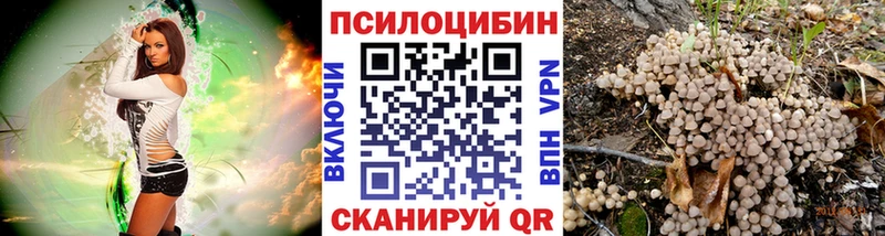 Псилоцибиновые грибы мицелий  Купить  Гатчина 