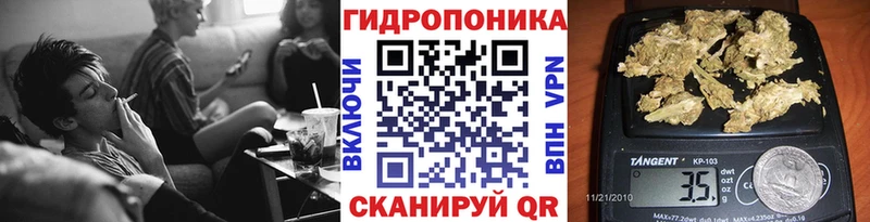 Купить закладки  Гатчина  Бошки марихуана ГИДРОПОН 